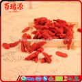 Granja de alta calidad de goji bayas secas Ningxia goji goji berry con gran precio